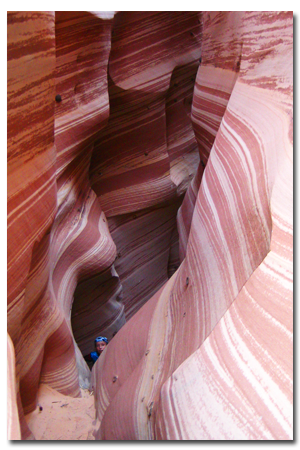Canyoneering-zebra-canyon-escalante.png